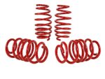 Skunk2 Racing Lowering Springs for 2012-2015 Honda Civic – Performance Upgrade - Image 2
