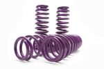 D2 PRO Lowering Springs 1.8"F/2.0"R For 2011+ Charger / 300C RWD