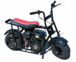 Trailmaster Storm 200 Mini Bike Blast from The Past, Quailty Engine, Welded Frame, Disk Brake (Black)