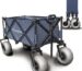 Join Us on Beach Adventures with the Sand Warrior RX800 Cart!