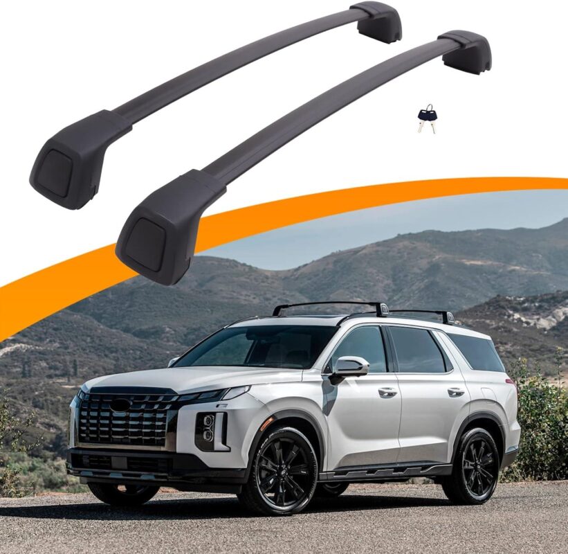 We Test the Snailfly Hyundai Palisade Roof Rack