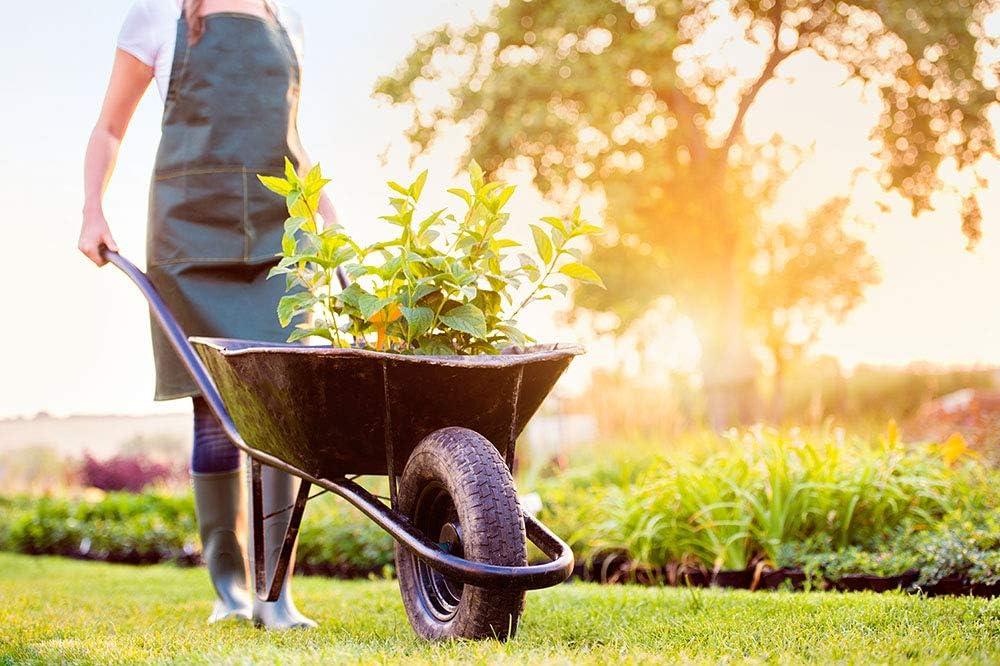 Upgrade Our⁢ Wheelbarrow with the⁣ Easy Fit Flat-Free‍ Assembly!