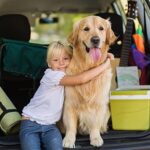 PETMAKER 61" Folding Dog Ramp Portable NonSlip Car SUV Truck Black - Image 4