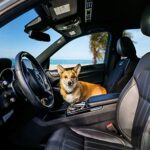 BarksBar Waterproof Dog Car Seat Cover - Non-Slip, Scratch Proof Front Seat Protector - Image 3