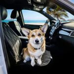 BarksBar Waterproof Dog Car Seat Cover - Non-Slip, Scratch Proof Front Seat Protector - Image 2
