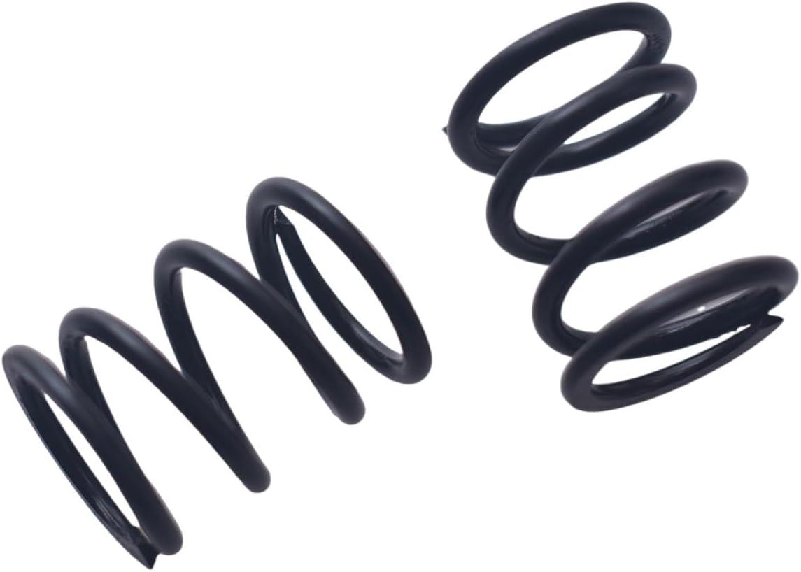 unleash Power: 26lb Valve Springs for Go-Kart Engines!