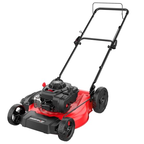 PowerSmart 21 in. Gas Lawn Mower with 125cc Briggs and PowerSmart 21 in. Gas Lawn Mower with 125cc Briggs and Stratton E300 Engine, 2-in-1 Push Mower with Mulching & Side-Discharge