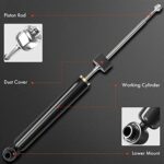 Nissan Cube Rear Shocks 2009-2014 Premium Suspension Absorbers Set - Image 2