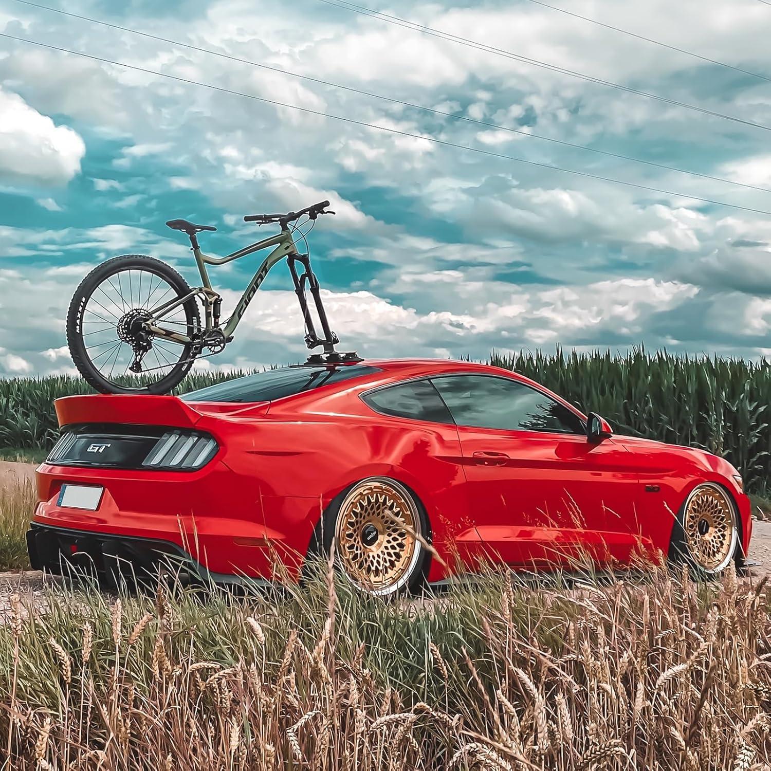 Our Road Test: ROCKBROS Suction Cup Bike Rack Delivers